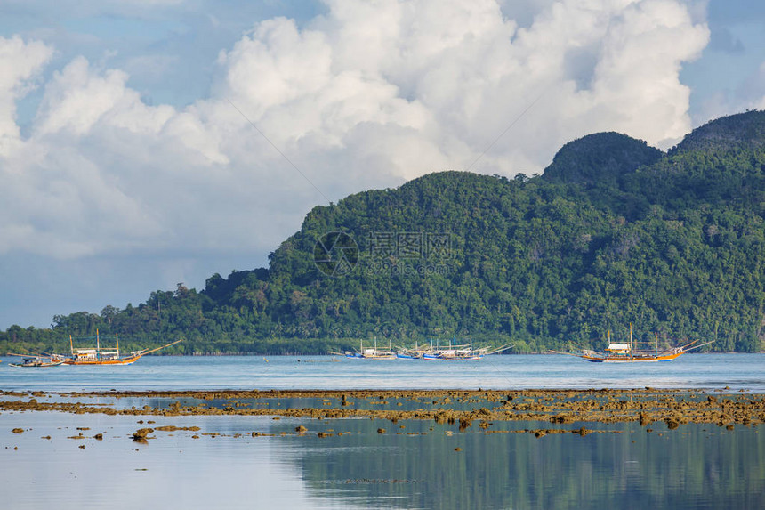 菲律宾帕拉万海湾和山地岛屿令图片