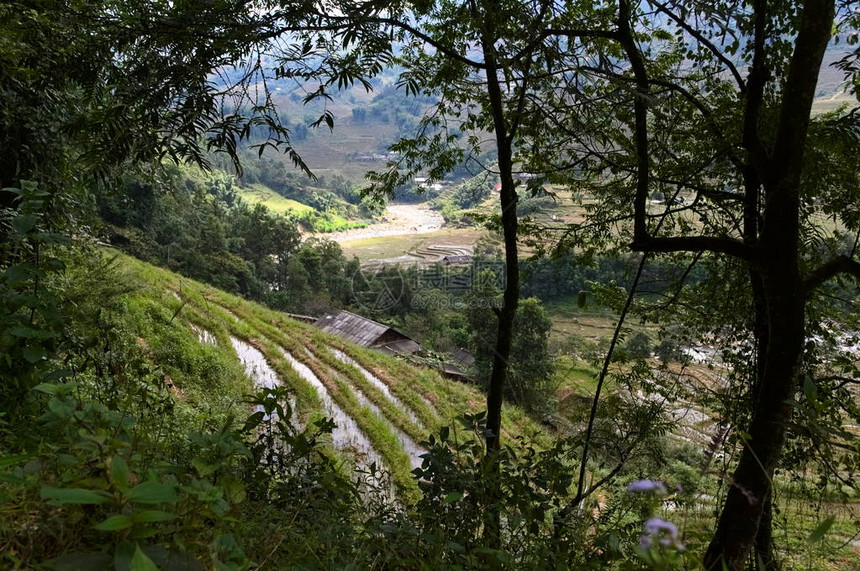 越南传统农村地貌美丽的山谷景色越南萨帕Sa图片