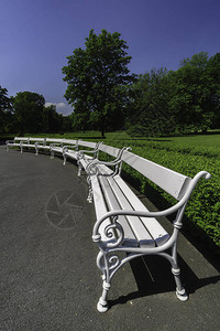 公园中的一组白色长椅图片