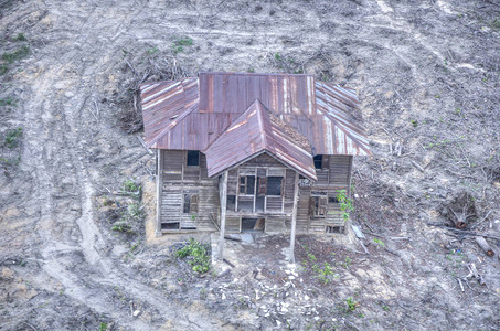 砍伐森林留下废弃房屋图片
