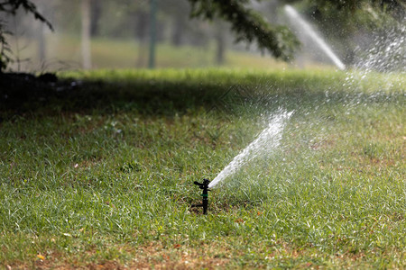 草坪洒水器喷水图片