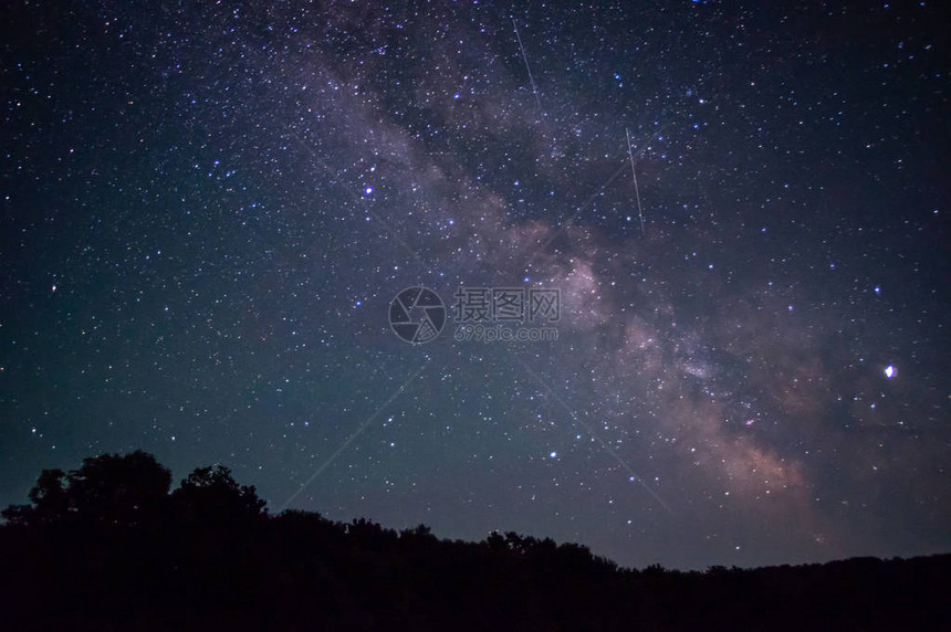 夏日夜晚树上的星空图片