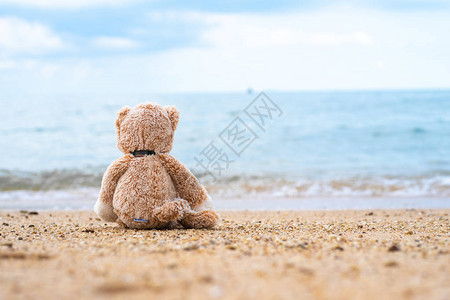 泰迪熊独自坐在海边图片