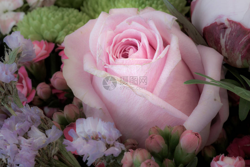 粉红玫瑰花朵束里有青菊卡兰乔小豆图片