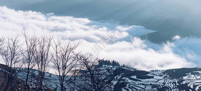 雾海云的元阳梯田全景图片
