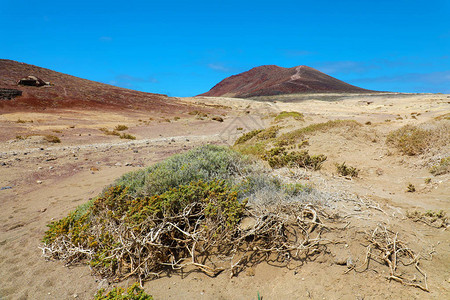 蒙塔纳罗哈火山的景象和西班牙特内里费ElMedano沙图片