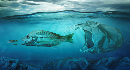 鱼在塑料袋海洋污染中游过图片
