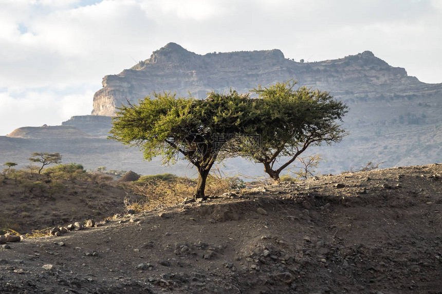 在埃塞俄比亚北部提格雷的Gheralta与Lali图片