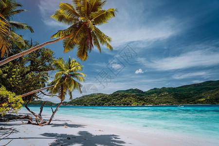 热带岛屿的奢侈假期带有白沙和棕榈树的天堂海滩长途旅行游启图片