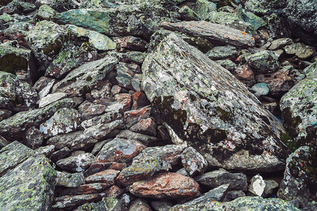 岩崩绿松石距骨高清图片