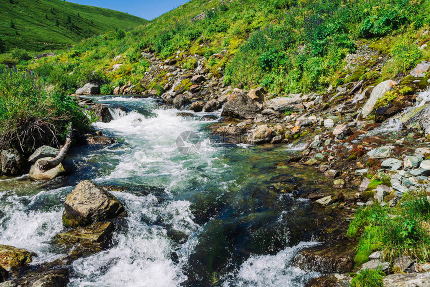 山谷中明亮阳光下巨石间山溪的快速水流图片