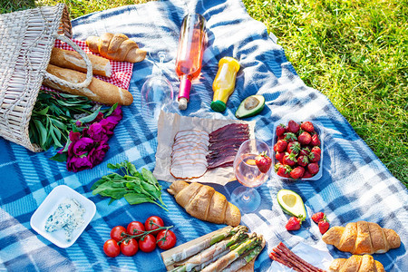 夏天在草地上的公园野餐葡萄酒水图片