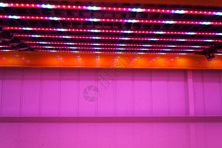 鱼菜共生系统中空架子上方的特殊红白蓝LED灯带图片