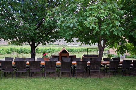 夏季的葡萄酒餐厅图片