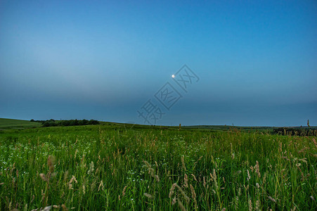 乌克兰夏日傍晚的田野和山丘图片