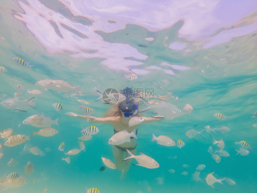 戴着浮潜面具的快乐女人在珊瑚礁海池中与热带鱼一起潜入水下旅行生活方式水上运动户外探险夏季图片