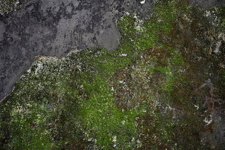 有绿色青苔纹理背景的老灰色石墙图片