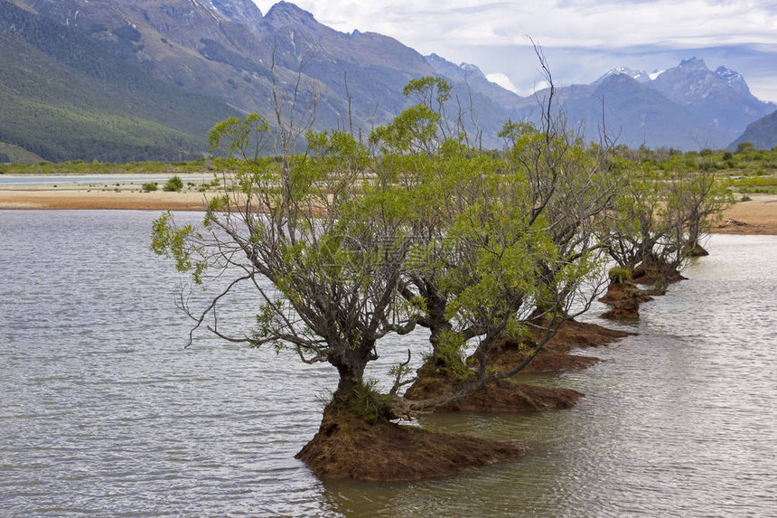 新西兰格伦诺基和皇后镇附近瓦卡蒂普湖的柳树位于瓦卡蒂普湖头的格伦诺基Glenorchy是通往新西兰一些最著名的多图片