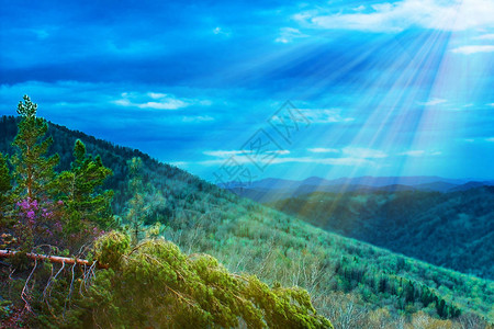 阿勒泰山的日出全景山泉全景山区自然的松树林森林在光影中的山景从上面的图片