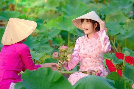 越南妇女在时采莲背景图片