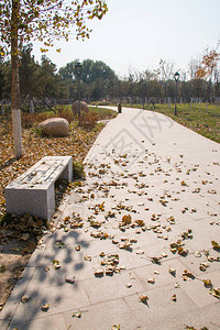 秋天公园的石路图片