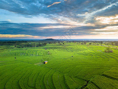 西爪哇优美的风景绿色高清图片