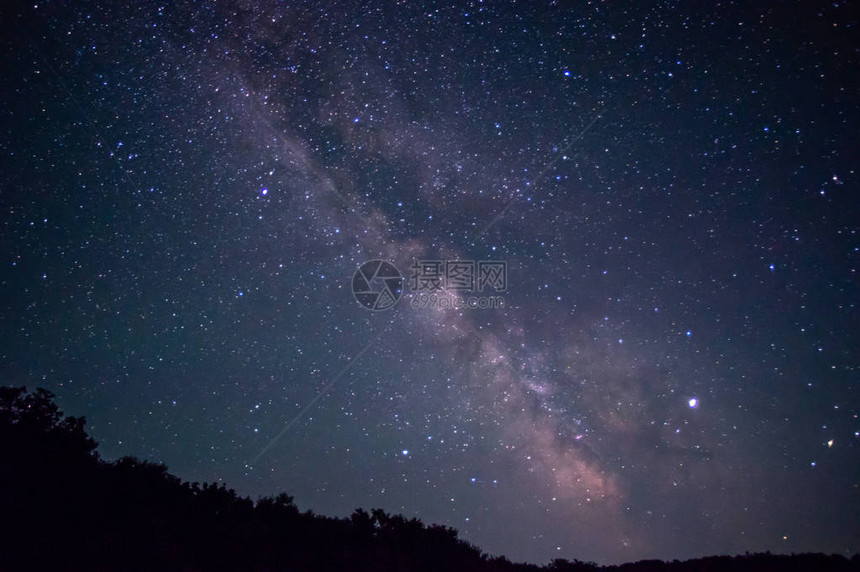 夏日夜晚树上的星空图片