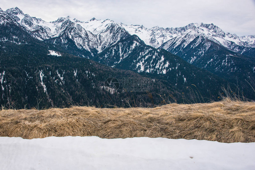 山全景前景中的雪和干草白雪皑的山脉背景的意大利阿尔卑斯山布伦塔白云岩图片