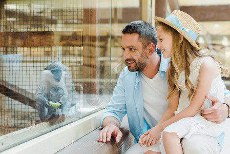 快乐的父亲和女儿在动物园里坐在窗户旁边看猴子的时图片
