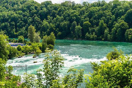 瑞士北部莱茵河畔诺伊豪森市莱茵河上的美丽莱茵是欧图片