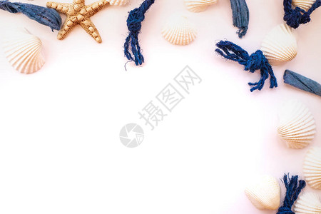 以粉红背景组织海壳海绳和海星从上面看热带暑假图片