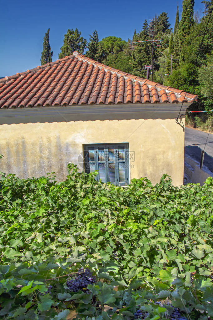 希腊科孚岛卡鲁萨迪斯村古老的房屋图片
