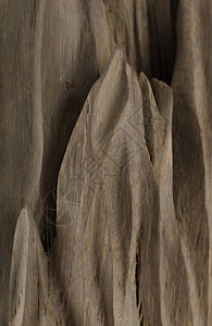 橡木根的产物橡木的质地图片