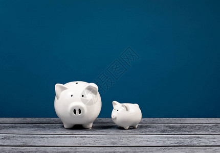 两家可爱的白猪银行在蓝色和灰色的背景家庭金图片