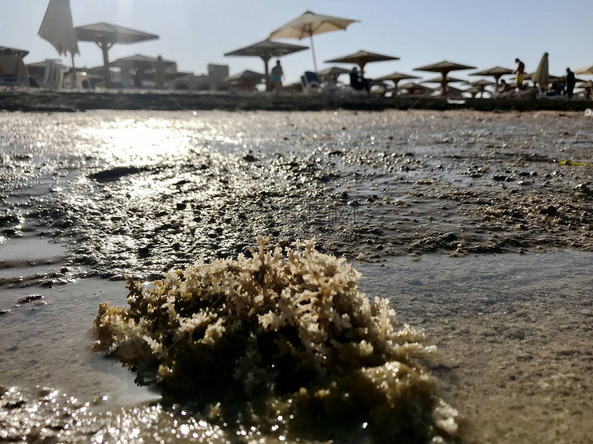 在露天与黄色沙子的蓝色大海的美丽海景自然景观由夏日的阳光炽热的细沙和液态水组成来自真正的沙子材料的自然图片