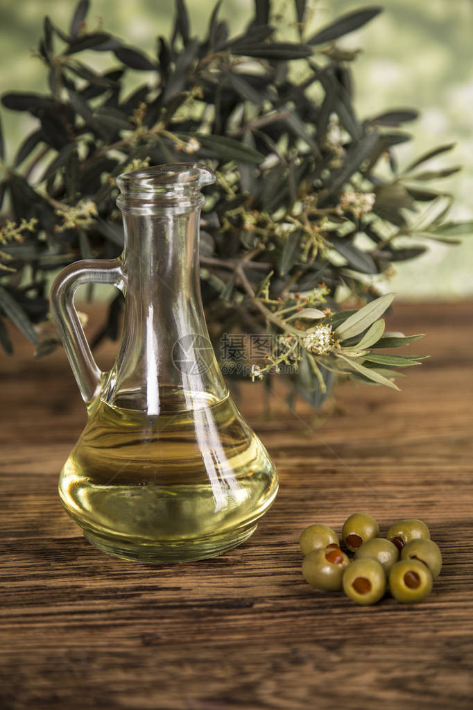 橄榄油橄榄树和绿橄图片