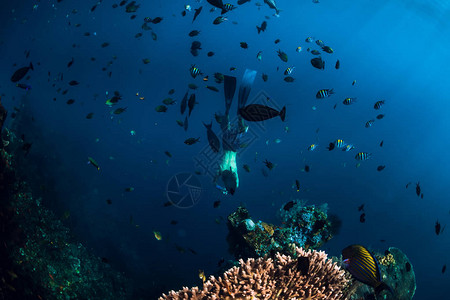 自由潜水员在巴厘岛的沉船中潜入水下与鱼在海图片