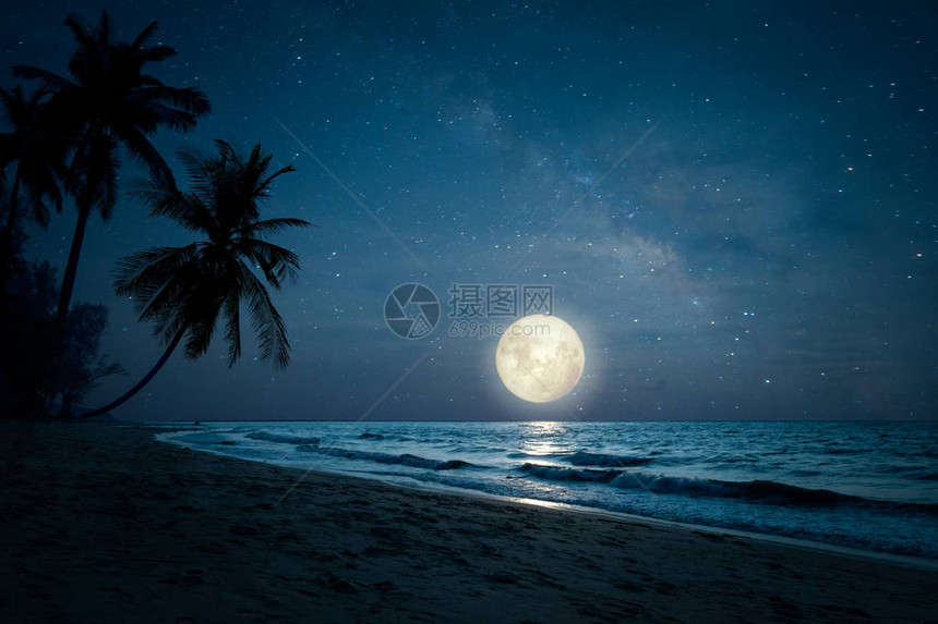 美丽的风景热带海滩幻想与剪影棕榈树在夜空和满月梦幻图片