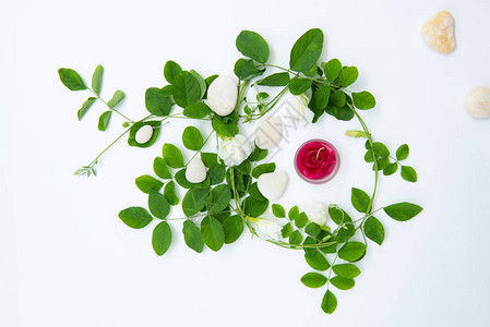 红玫瑰蜡烛美丽的蝴蝶花朵架绿叶和白色背景的白图片