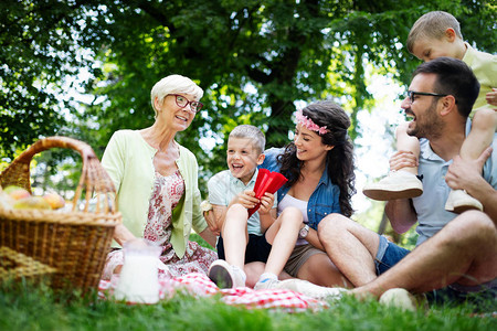快乐的多代家庭在公园里享受野餐图片