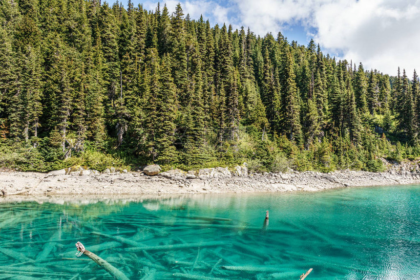 Garibaldi湖景色阳光明媚的清晨图片