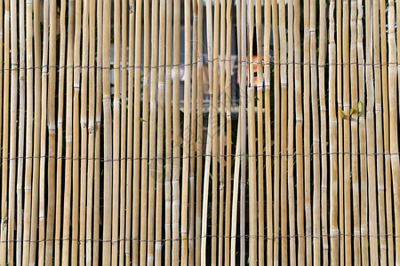 用铁丝固定的竹棍栅栏图片