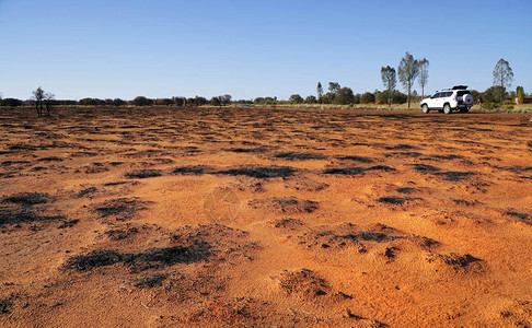 丛林大火后澳大利亚中部荒芜土地图片