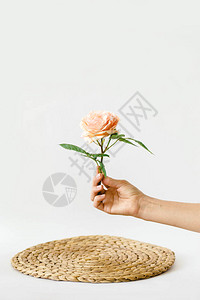 花瓶中的花朵玫瑰在自图片
