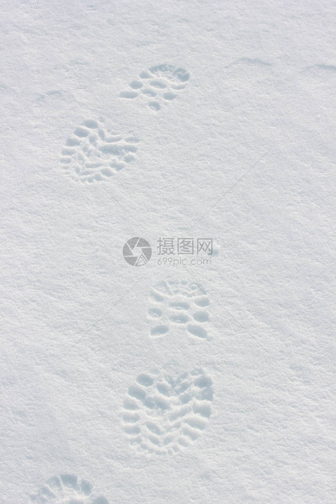 脚踩在雪地上图片