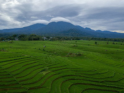 印度尼西亚洲苏门答腊岛明古鲁省北部的明古鲁自然美景图片