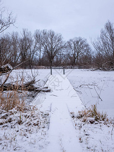 冰墩墩一块积雪的木板和钢墩伸入一个结冰的池塘背景