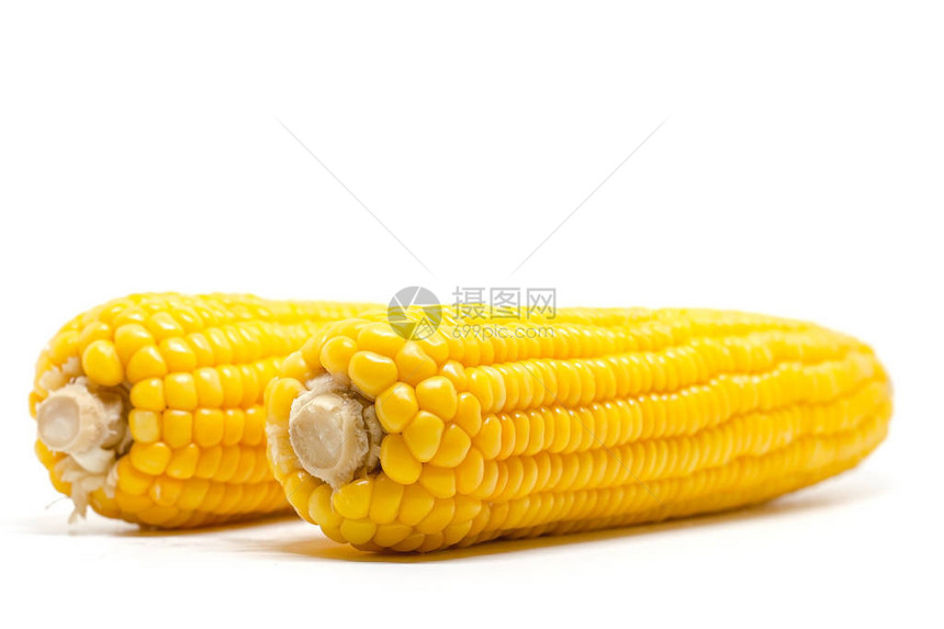 食品原料和烹饪概念白背景的甜玉米及食图片