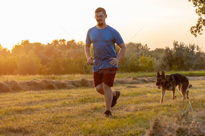 观察一个帅哥和德国牧狗在日落时在绿草上跑图片