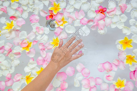 在浴缸SPA周末福利身体护理和美貌概念中的弗朗吉帕图片